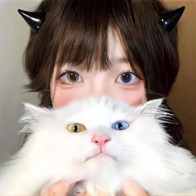 泰山功夫